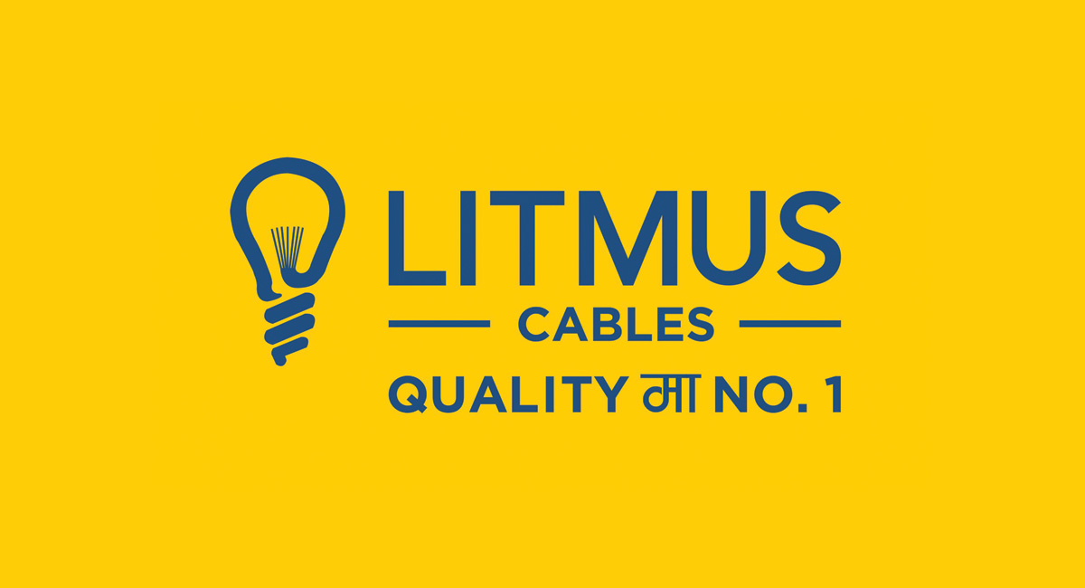 Litmus Industries Limited: Where Nepali Brilliance Meets German Excellency